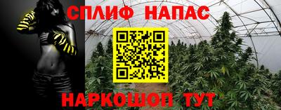 мдпв Рузаевка