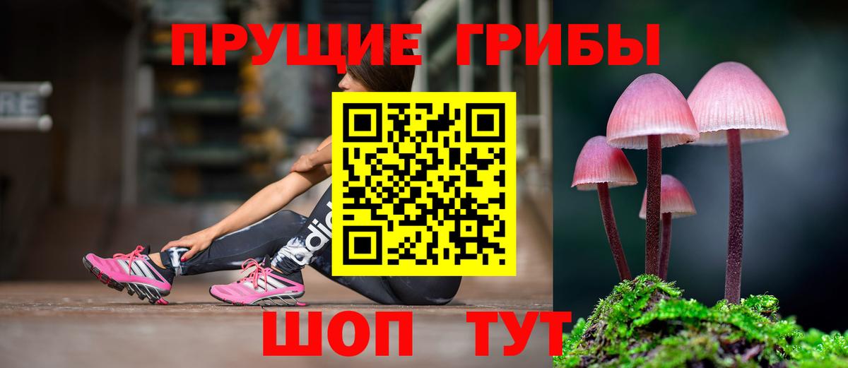 Псилоцибиновые грибы GOLDEN TEACHER  Вход с VPN  купить закладку  Солнечногорск 